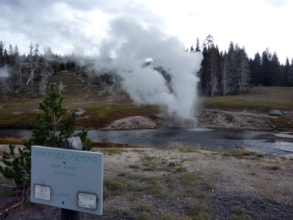 Yellowstone Old faithfull et ses environs (92).JPG